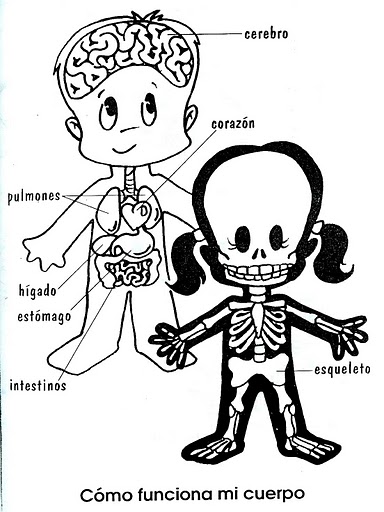 un lugar llamado jardin: Cuerpo Humano, Hábitos y Caretiñas