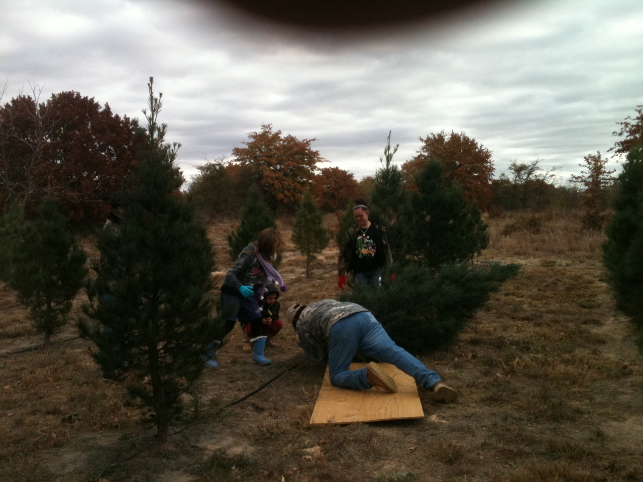Millican's Heritage Christmas Tree Farm Gallery