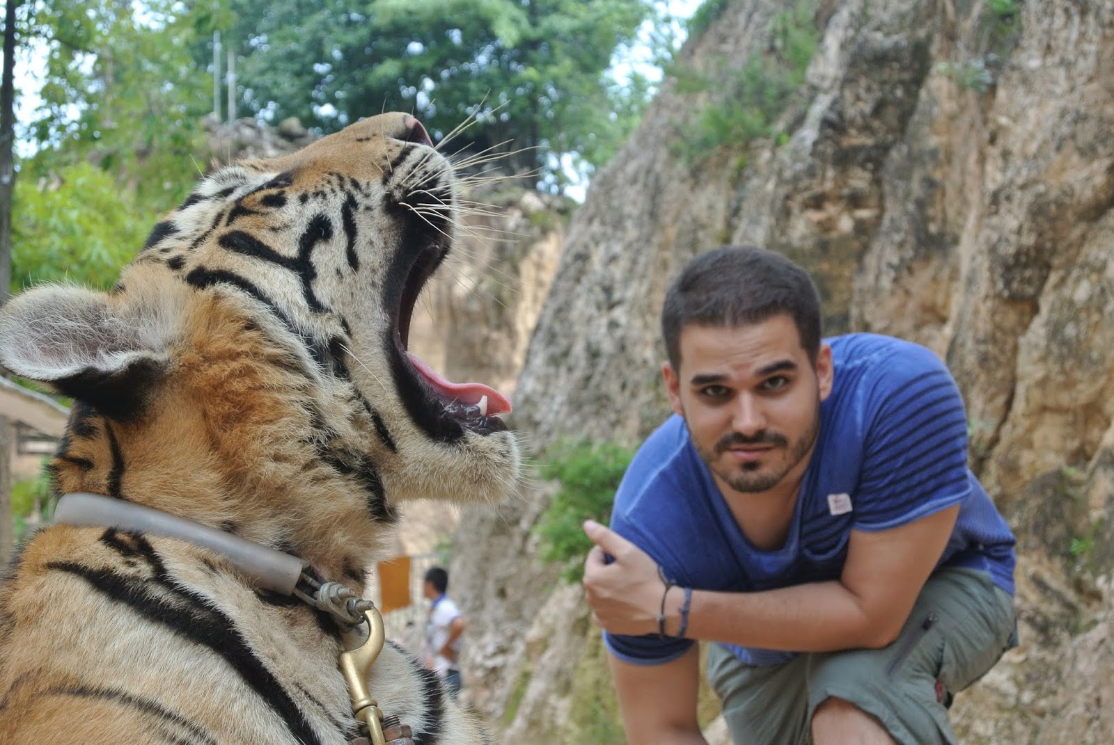Tiger center , Tailandia