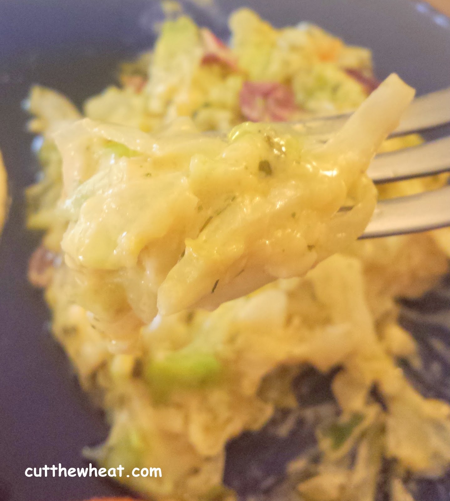 Cabbage "Noodles" and Lemon Parmesan Sauce Gluten Free, Grain Free