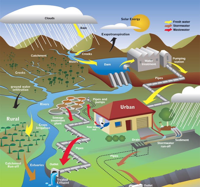 EarthBuzz.Donahue Water Usage Home Experiment