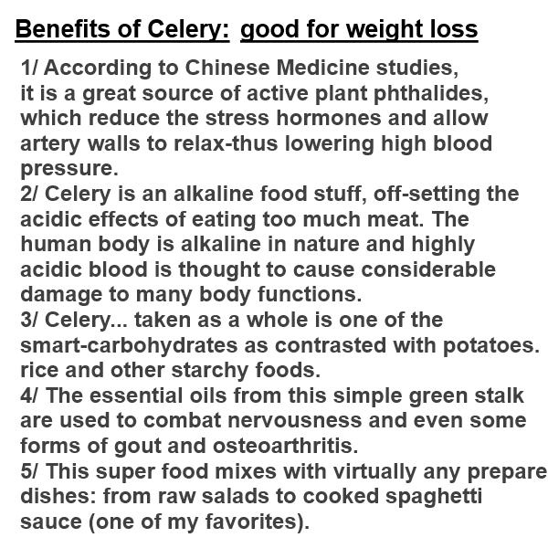 celery for weight loss best solution healthfitnessbestoff