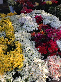 Flowers at Orange Grove markets
