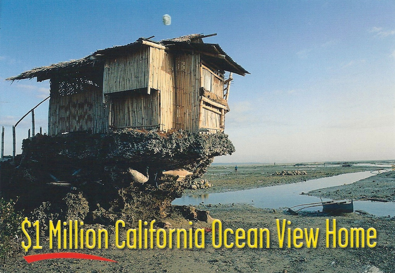 Shack for 1 million dollars Shack for 1 million dollars