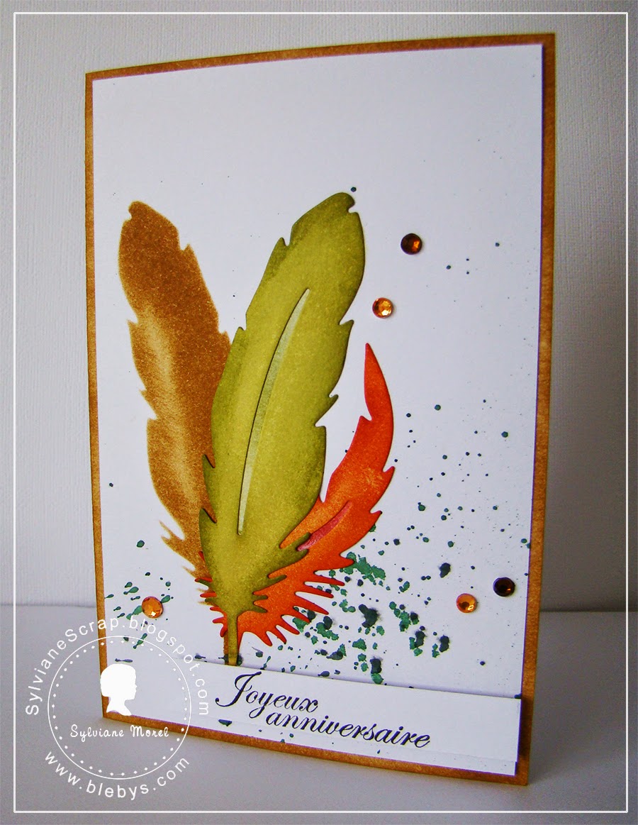 SYLVIANE SCRAP Cartes plumes