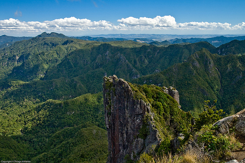 Coromandel Pinnacles