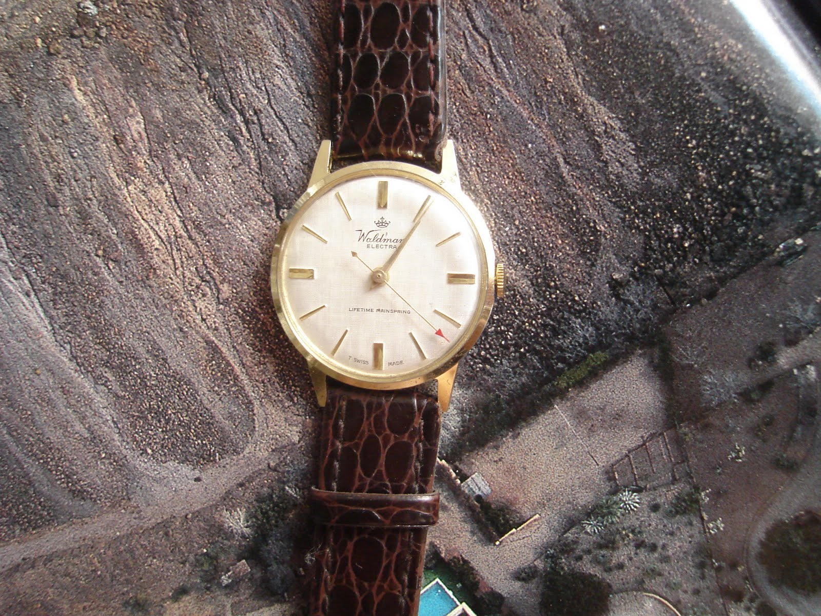 swiss army steak knives