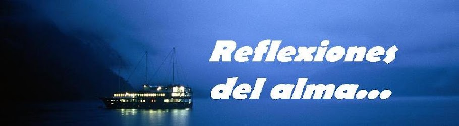 REFLEXIONES DEL ALMA