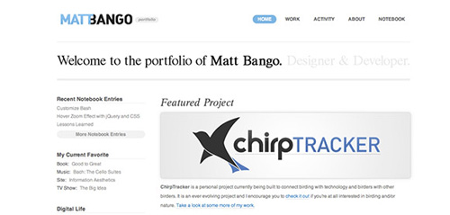 online portfolios