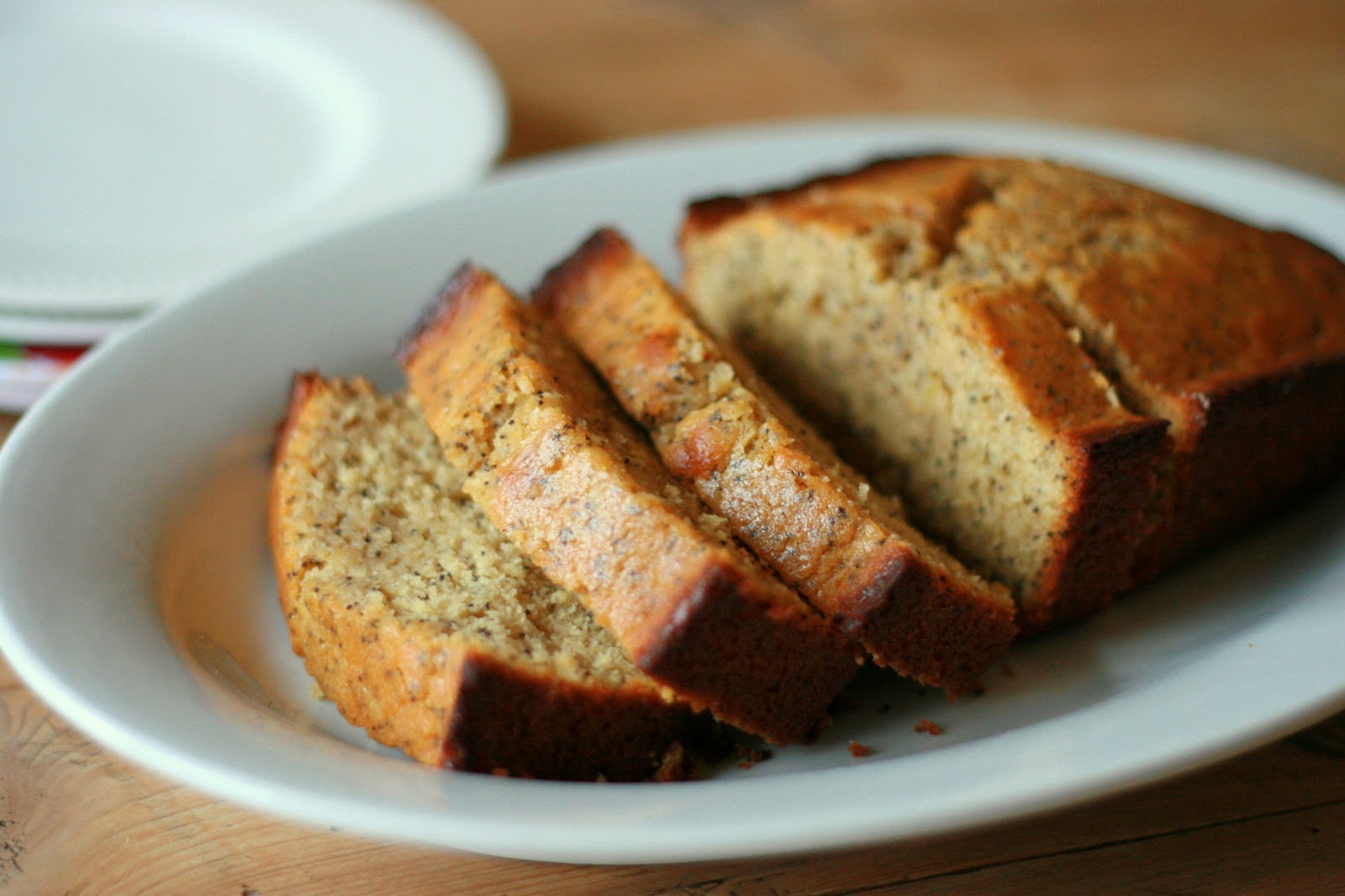 are poppy seeds bad for dogs cooking with chopin living with elmo poppy seed bread with lemon honey glaze dairy are poppy seeds bad for dogs cooking with chopin living with elmo poppy seed bread with lemon honey glaze dairy