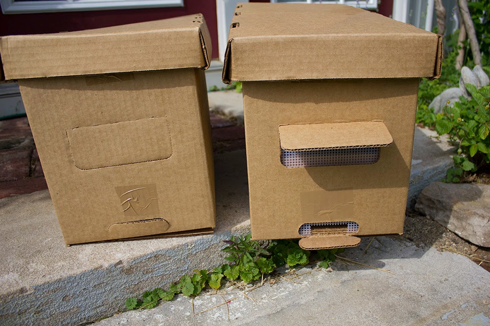 Rurification Cardboard Nuc Boxes