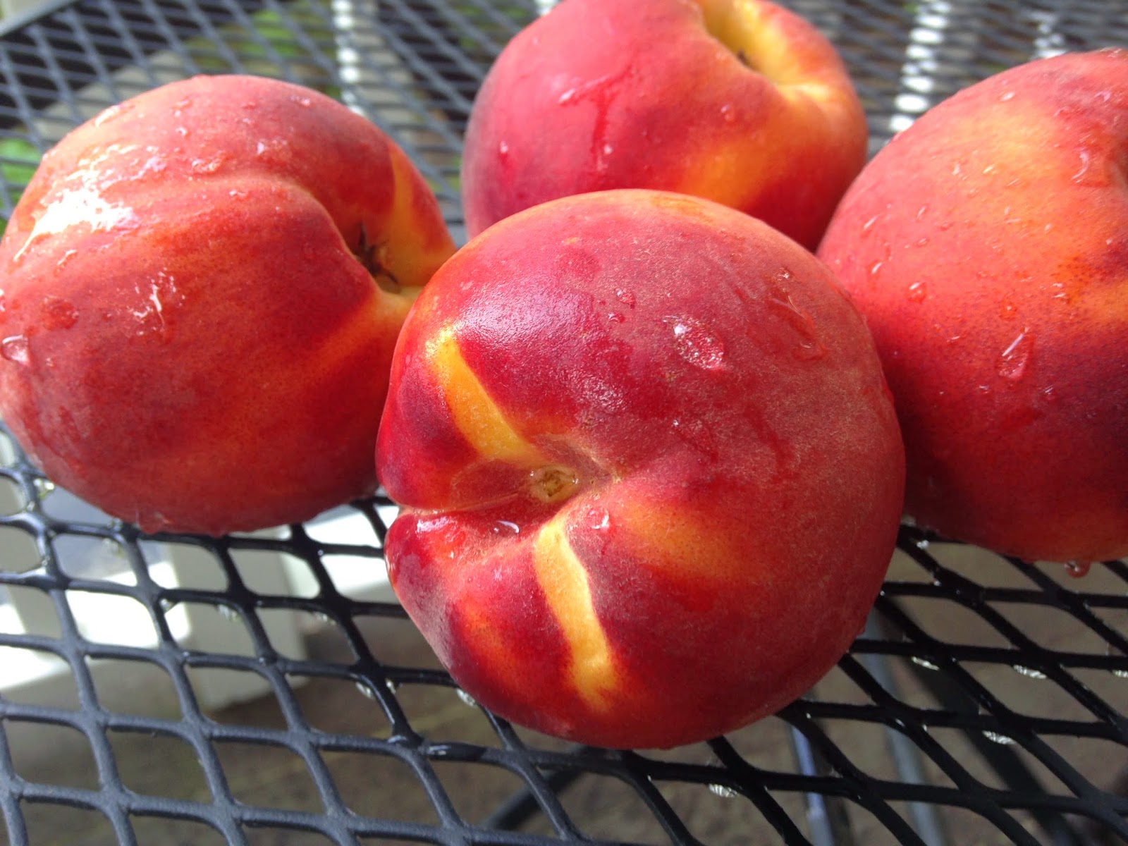 KnitOne,PearlOnion Chilled Peaches in Wine