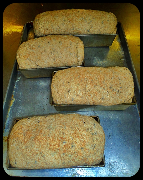 100 WholeWheat Wild Rice Bread