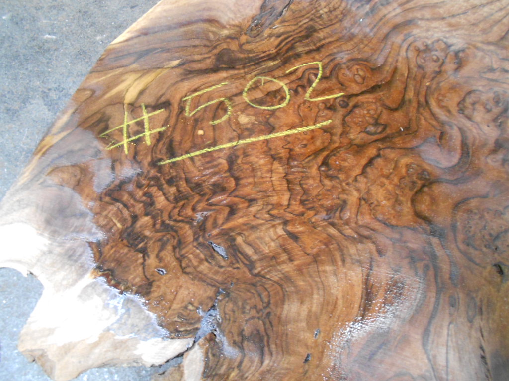 Tropical Exotic Hardwoods Now Listed Online Walnut Burl Slabs!