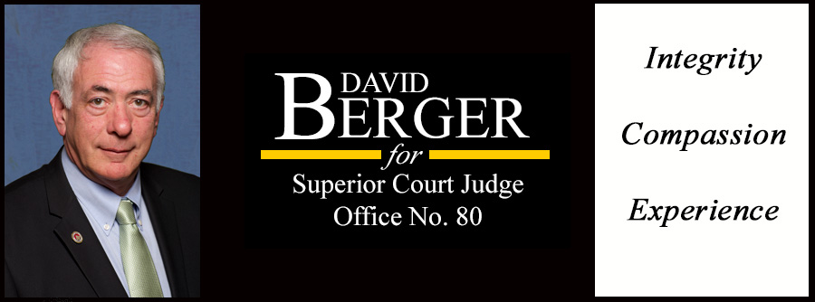 David Berger for Judge 