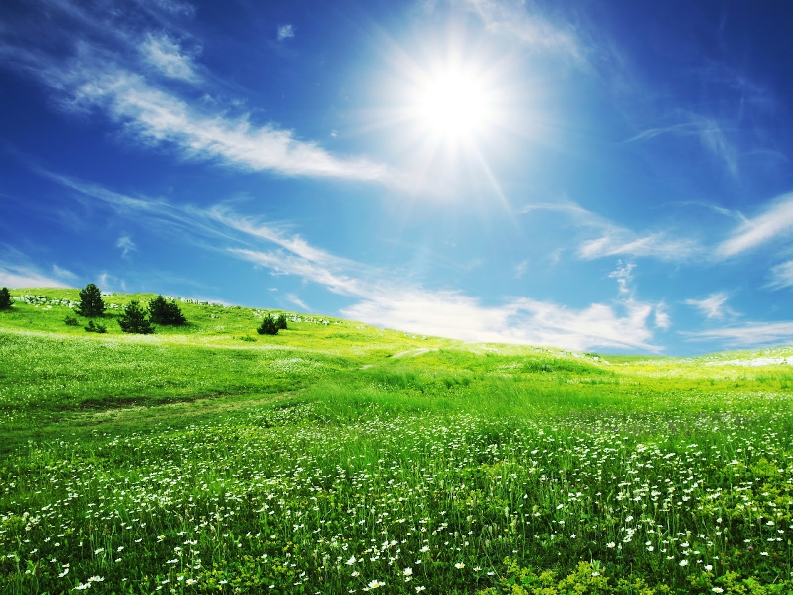 Beautiful Nature Beautiful Nature