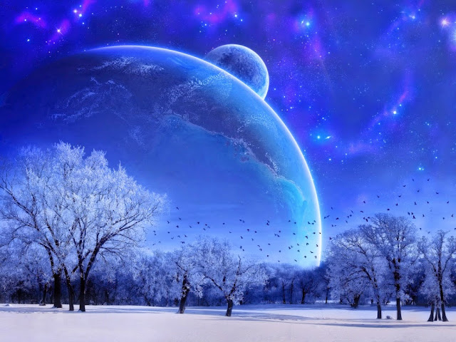 122132-Nature, Landscape, Winter, Sky, Snow, Full moon, Trees, Birds, Evening HD Wallpaperz
