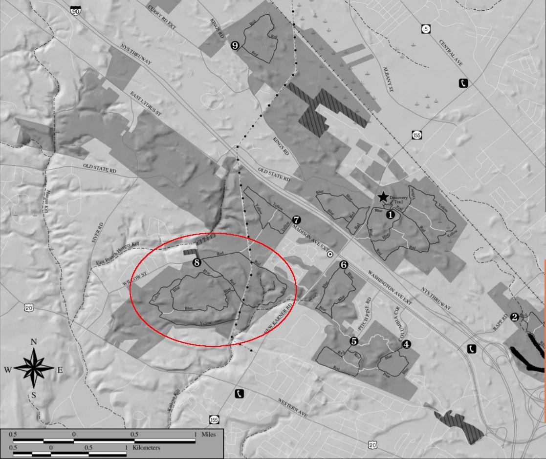 No Rocking Chair for Me Walk Albany Pine Bush Preserve