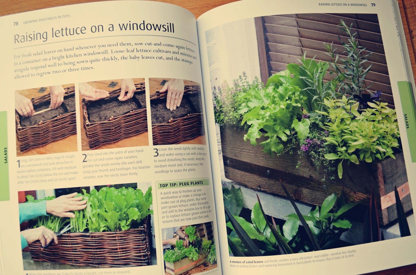Woman in Real LifeThe Art of the Everyday Gardening for Beginners
