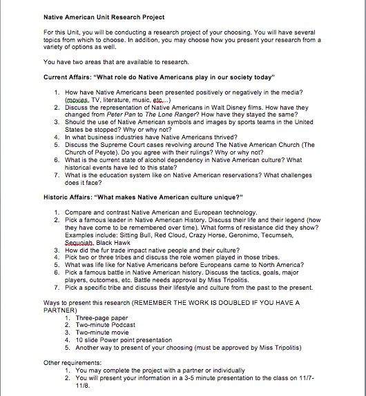 Native american essay