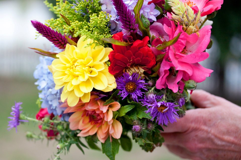 Hanna's Photography Blog What's the Reason Behind the Wedding Bouquet?