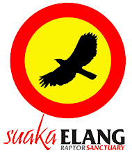 Suaka Elang