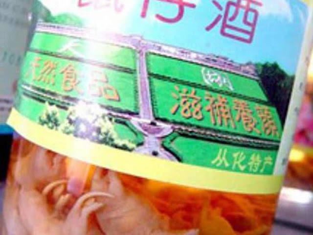 14 Minuman Keras Paling Mengerikan Dan Mematikan Ini Pernah Di Minum Manusia!