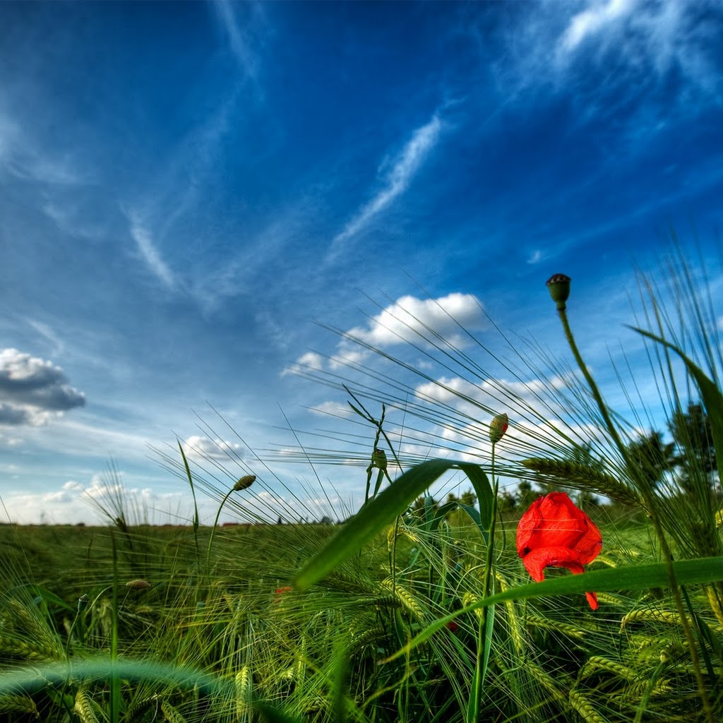 Nature Wallpaper Hd Nature Wallpaper Hd