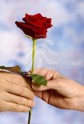 http://4.bp.blogspot.com/-SPsZqU2CxA8/Tdf7NfSdwQI/AAAAAAAAACM/daHbEnJvYfk/s1600/man-giving-a-red-rose-to-a-woman-as-a-symbol-of-love--1.jpg