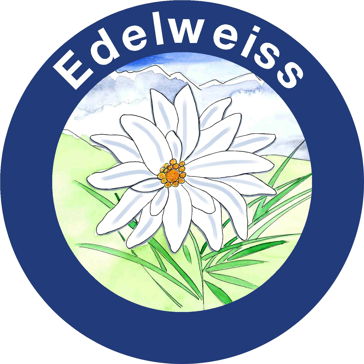 Picture of EDELWEISS