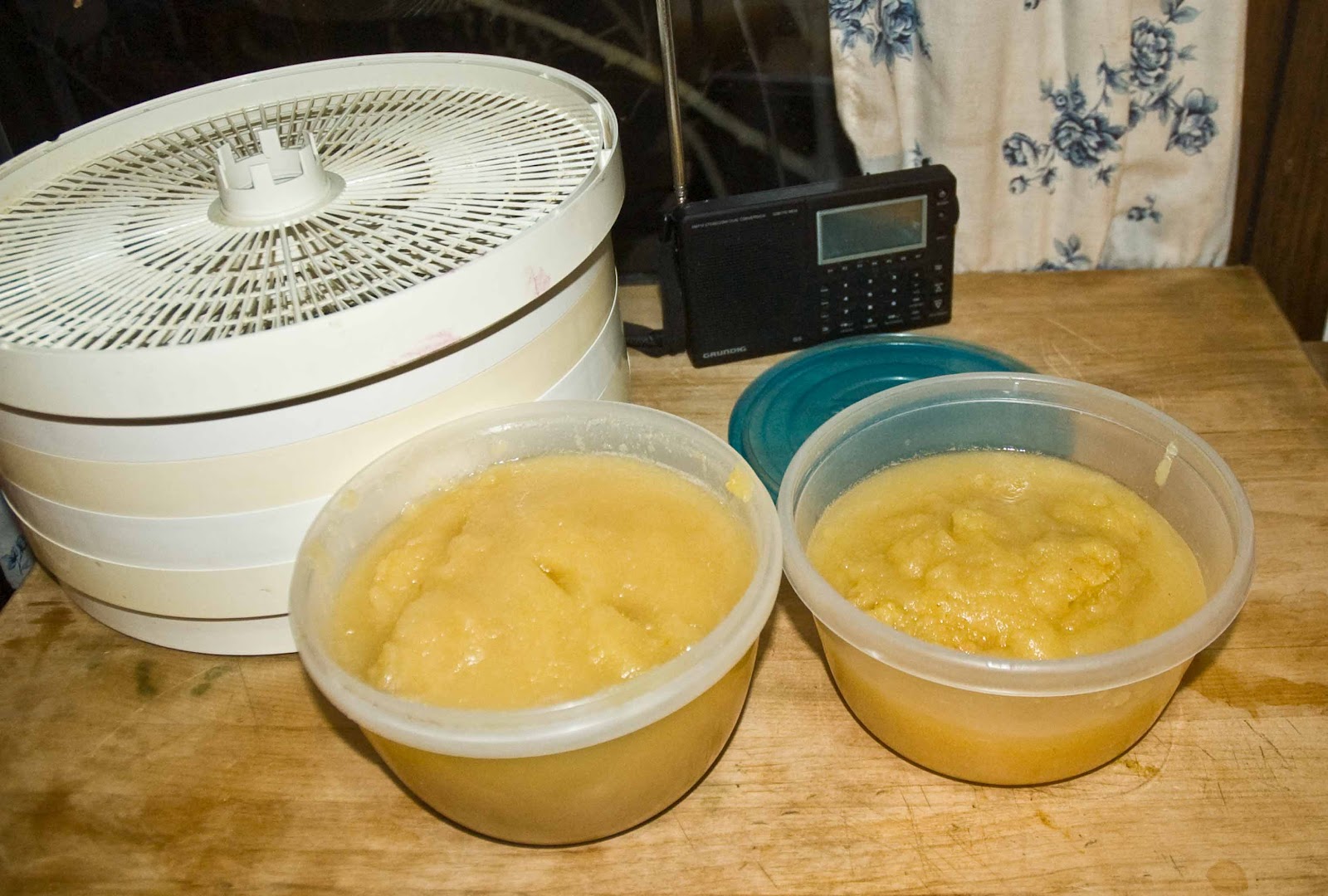 Dehydrating Way Beyond Jerky Dehydrating Applesauce Easier Than You Would Think