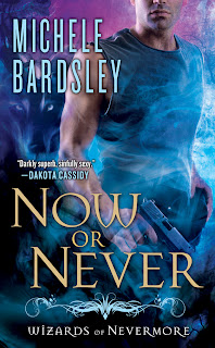 Guest Review: Now or Never by Michele Bardsley