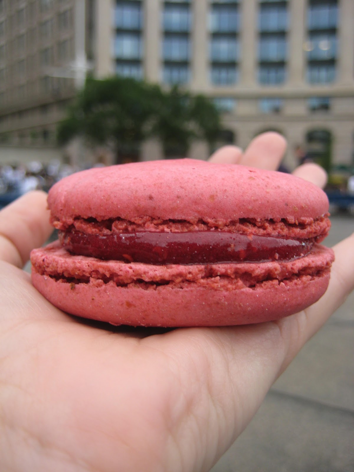 The Cupcake Avenger PAUL Bakery USA