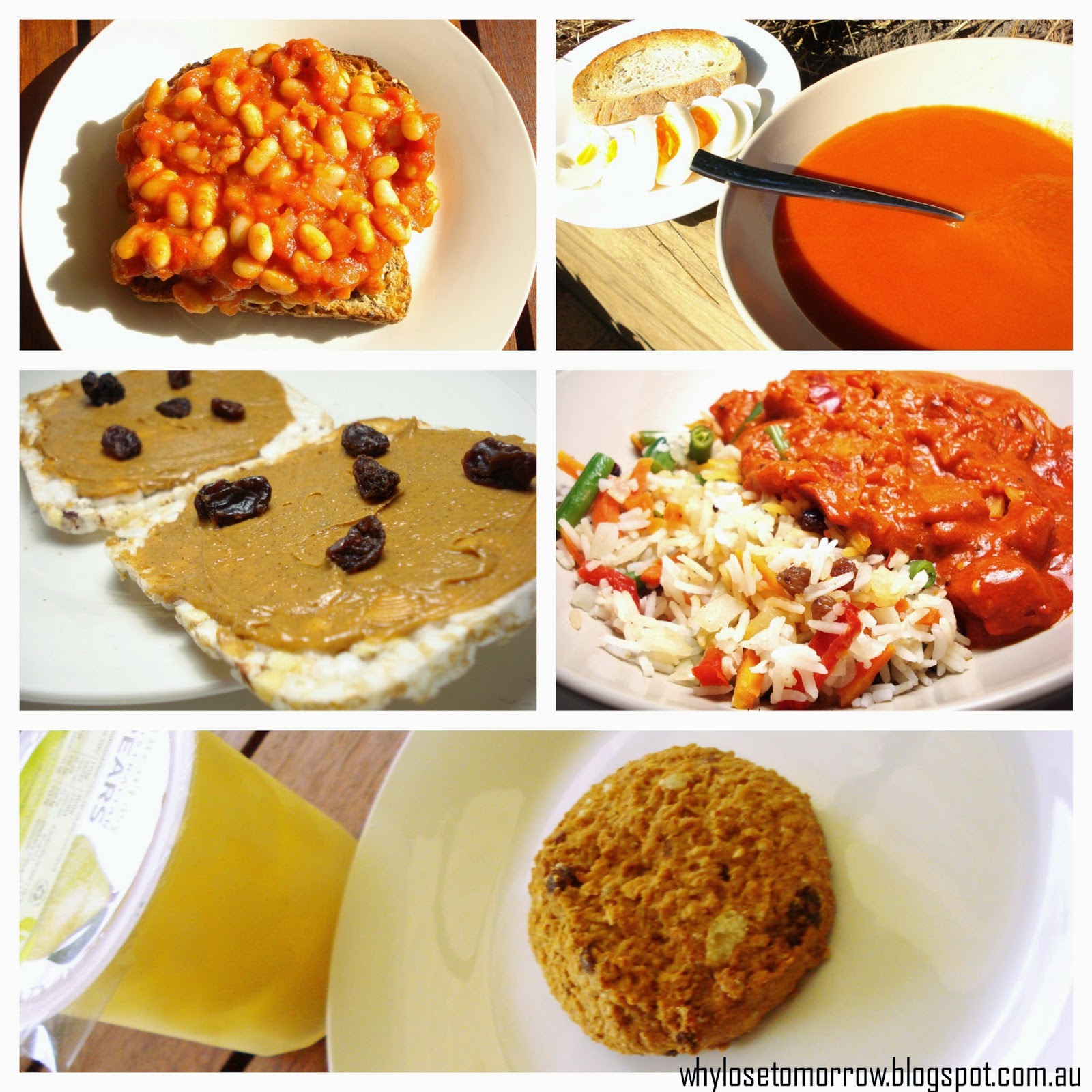 Why Lose Tomorrow? Lite n' Easy Weight Loss Journey Week 21 A Crazy Week