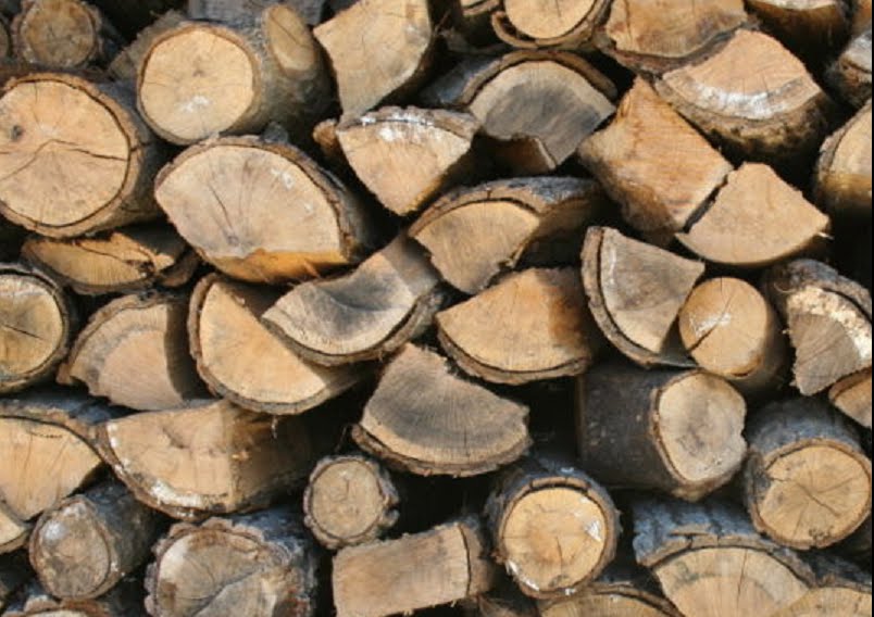 woodstove catalytic combustors Guide to the best firewood for burning.