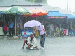 蘇州 最美仙女 為殘疾老翁撐傘擋雨