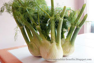 benefits of eating fennel benefits_of_eating fennel_fruits-vegetables-benefits.blogspot.com(1)