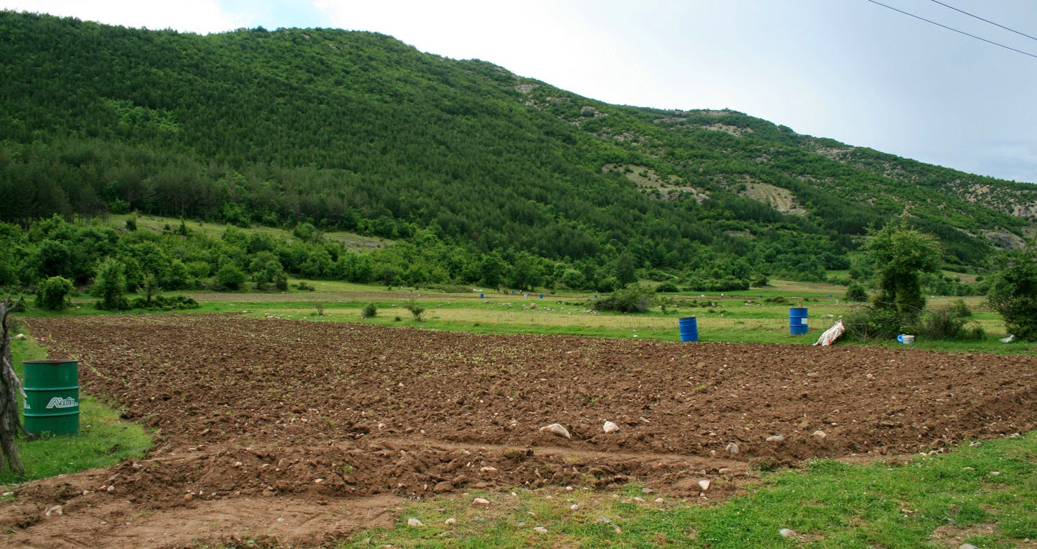 Tobacco farming, Bulgarian style Tobacco farming, Bulgarian style
