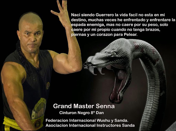 Sanda CURSOS Y CLASES Boxeo Chino - Alcala y Azuqueca de Henares