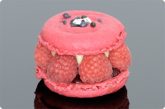 Paisley Curtain: French Pastries