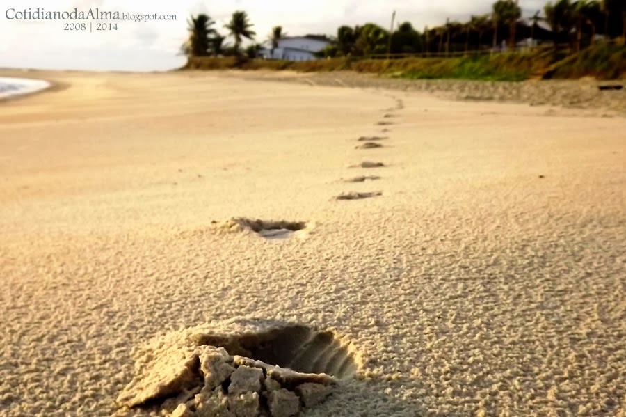 Passos na praia. Andar pelo litoral. Ezequiel Rodrigues. Cotidiano da Alma. Natal. Rio Grande do Norte.