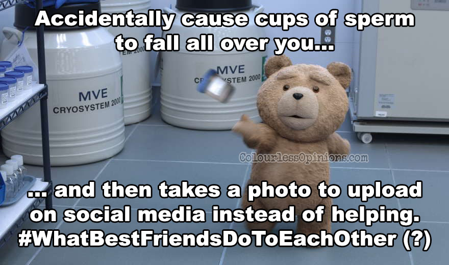 movie review ted 2 (2015) seth macfarlene, mark wahlberg Ted%2B2%2Bsperm%2Bbest%2Bfriend%2Bmovie%2Bmeme movie review ted 2 (2015) seth macfarlene, mark wahlberg