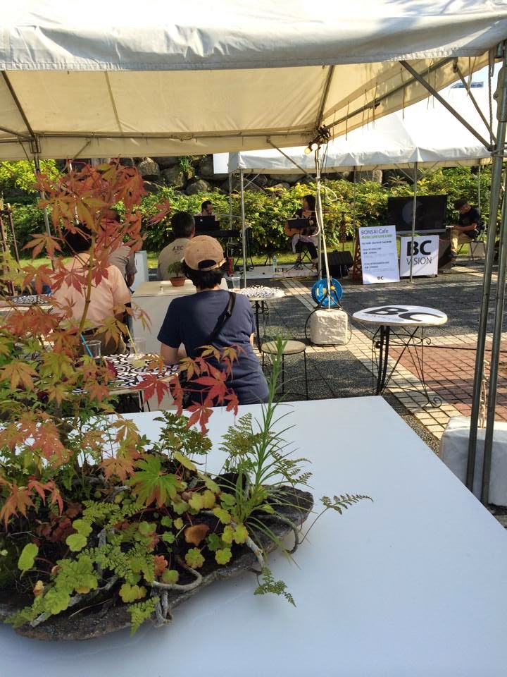 BONSAI CAFE AU PARC TAMAMO DE TAKAMATSU