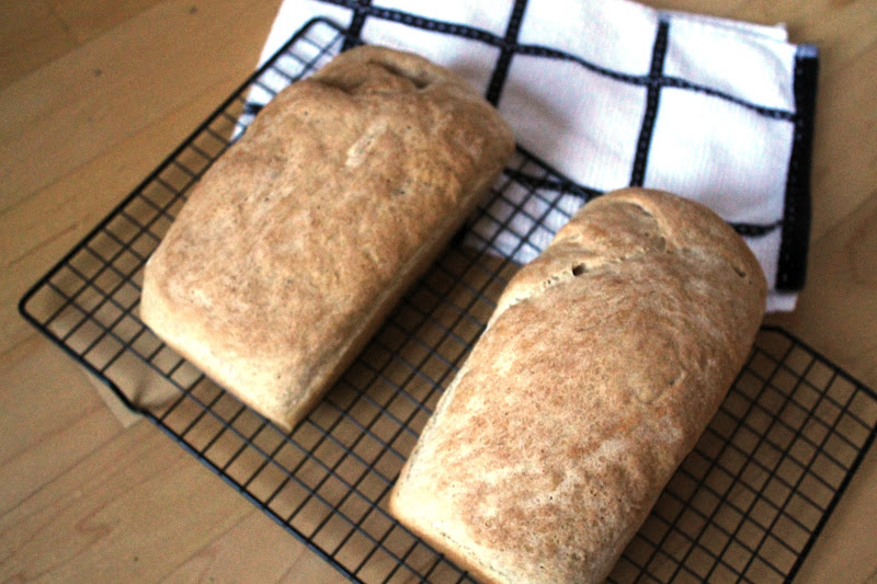 Life on Food Half and Half Bread