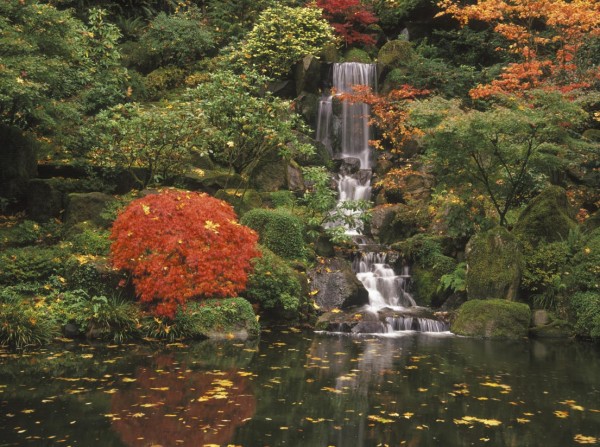 Los Jardines Japoneses. Los Jardines Japoneses.