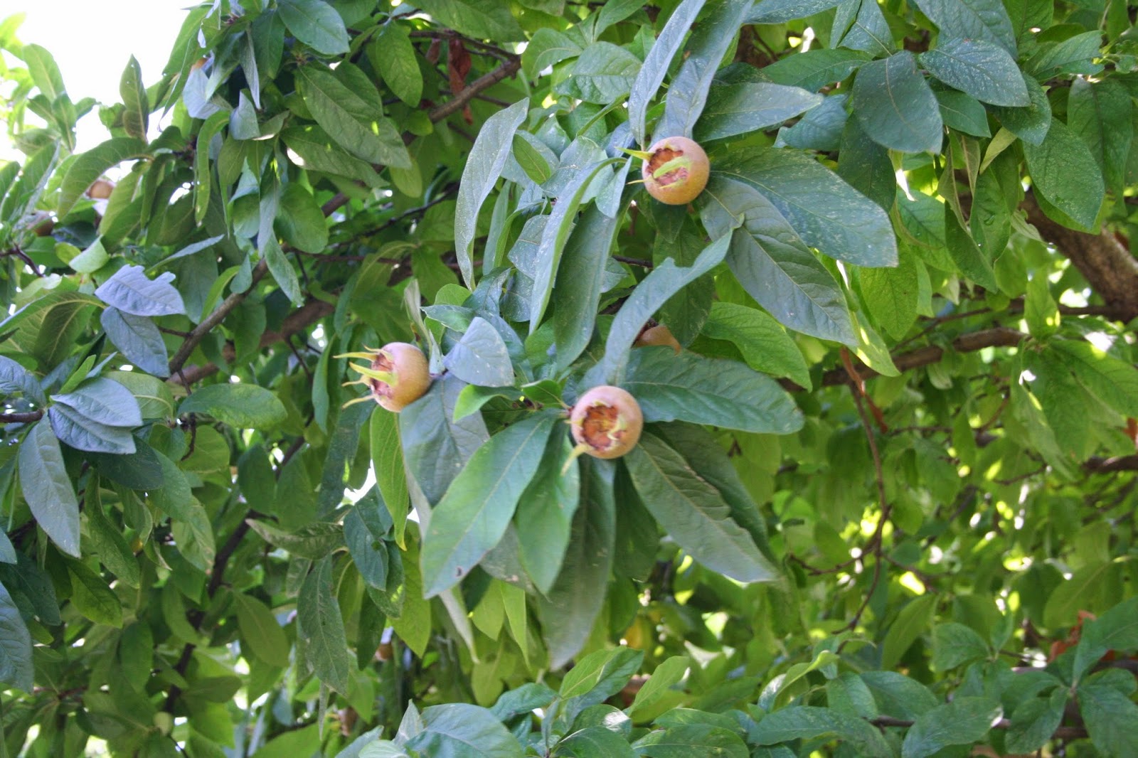 Was Geschah Heute Vor X Jahren Archiv Seite 2 Siamonline De