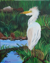 Hawaiian Egret