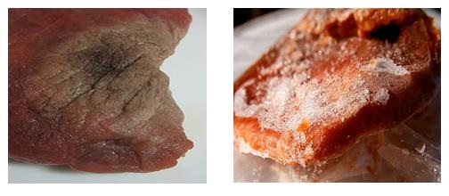 Learn Microbiology Freezer Burn In Food Spoilage