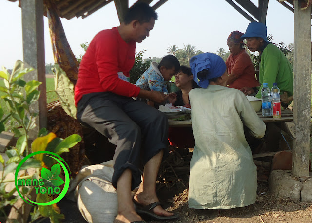 FOTO : Makan bersama keluarga disaung sawah... walau makanan seadanya... tapi terasa nikmat..