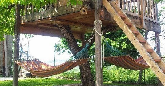 Great backyard tree house | Backyards Click
